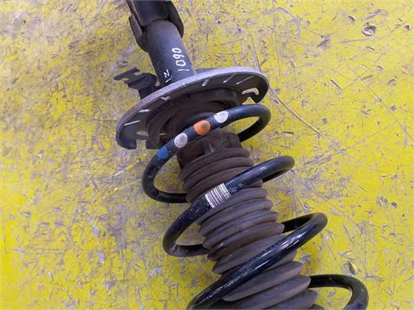 Amortiguador Delantero Izquierdo Citroen C4 Picasso/Spacetourer (05.2013->) foto 3