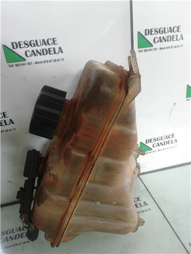 Botella Expansion Citroen C5 BERLINA foto 4