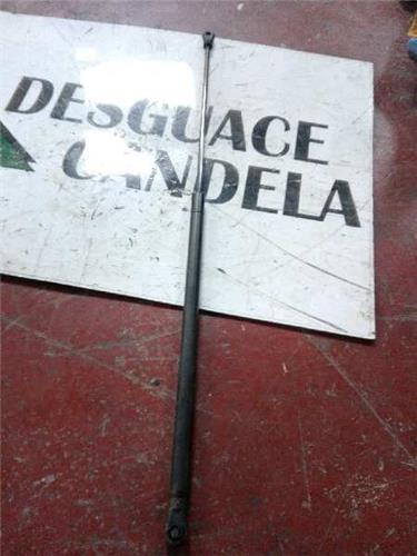 Amortiguador Capo