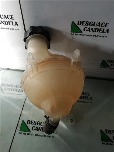 Botella Expansion Citroen C4 Berlina (06.2004->) foto 3