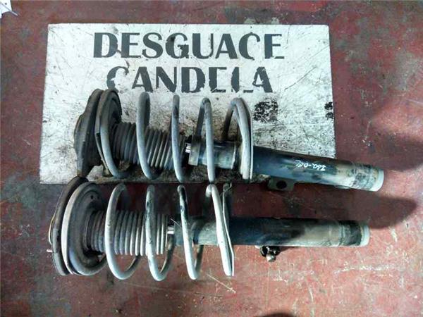 Amortiguador Delantero Izquierdo Peugeot 206 (1998->)
