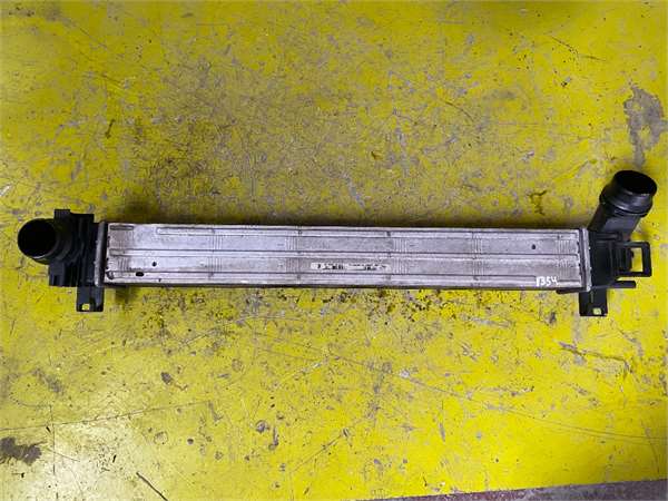 Intercooler Renault Megane III Coupe-Cabrio (04.2010->)