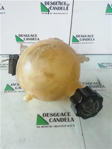 Botella Expansion Peugeot 307 Berlina (S2)(06.2005->)