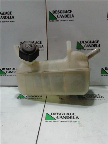 Botella Expansion Renault Megane II Berlina 5P (10.2002->)