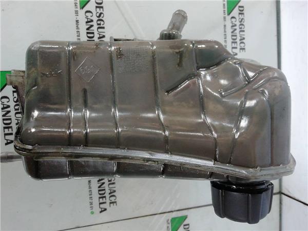Botella Expansion Renault Kangoo II (F/KW0)(2008->) foto 4