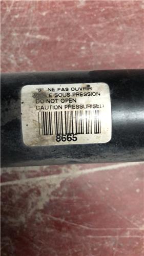 Amortiguador Delantero Derecho Peugeot 407 (2004->) foto 3