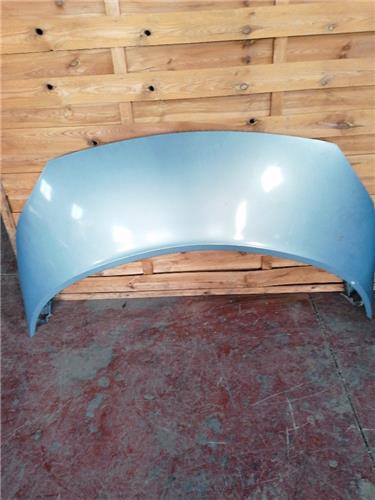 Capo Renault Scenic II (JM)(2003->)