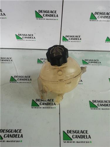 Botella Expansion Citroen Berlingo Furgón (2008->)