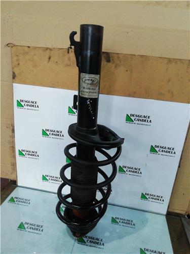 Amortiguador Delantero Derecho Ford Transit Connect (TC7)(2002->) foto 2