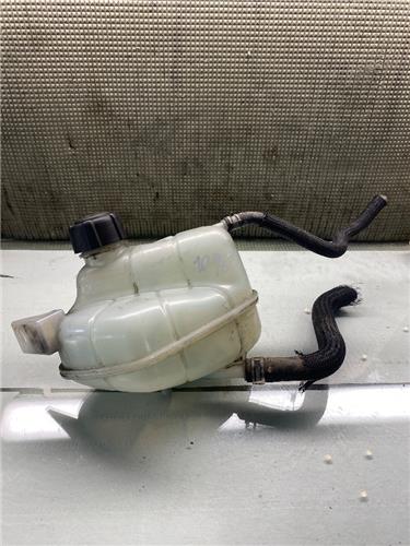 Botella Expansion Nissan Qashqai (J11E)(2013->)