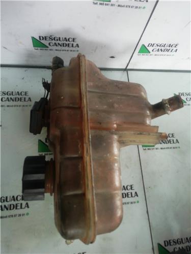 Botella Expansion Citroen C5 BERLINA foto 5
