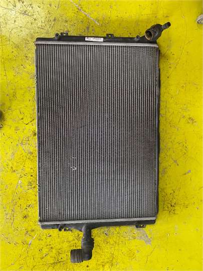 RADIADOR AGUA Seat Altea XL (5P5)(10.2006->)