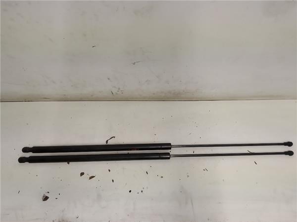 amortiguador porton seat toledo 5p2 092004 1