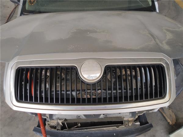 rejilla capo skoda fabia 6y26y3 012000 19 cl