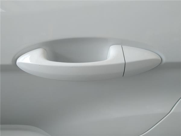 maneta exterior trasera izquierda ford ecospo