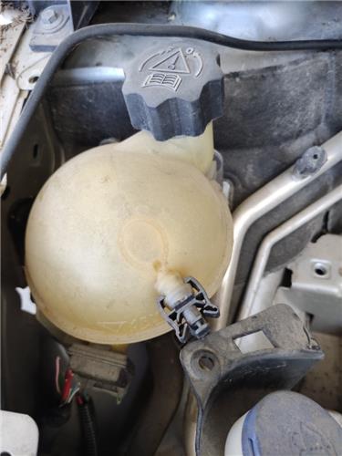 botella expansion peugeot 307 berlina s2 0620