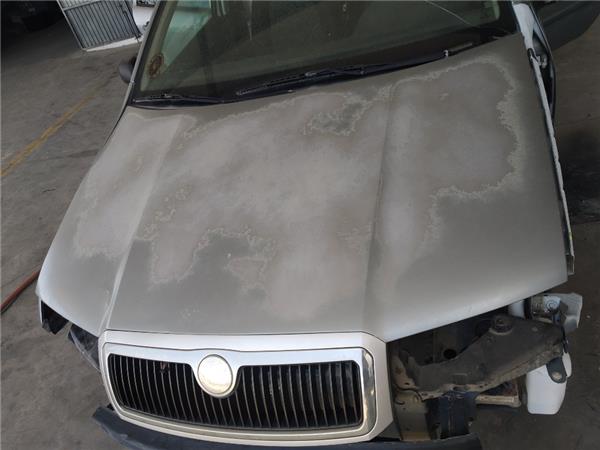 capo skoda fabia 6y26y3 012000 19 classic 19