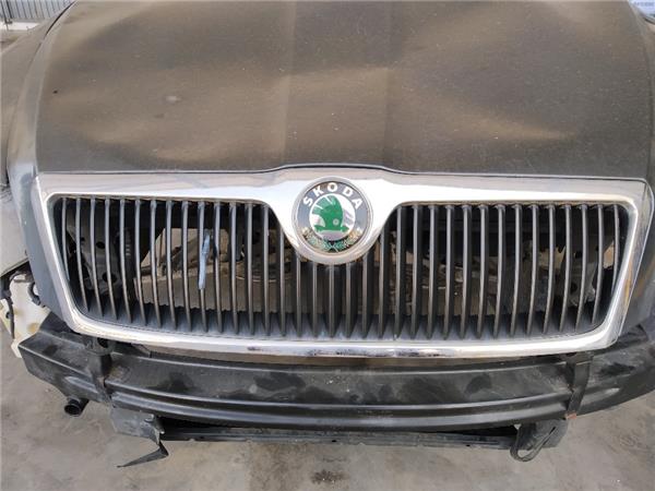 rejilla capo skoda octavia combi 1z5 2008 19