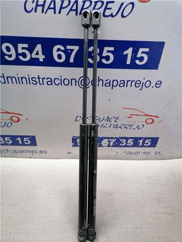 LACETTI Amortiguador Porton LACETTI Amortiguador Porton