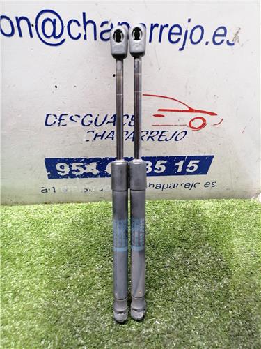 407 SW Amortiguador Porton 407 SW Amortiguador Porton