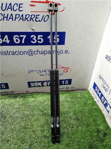 ASTRA G BERLINA Amortiguador Porton ASTRA G BERLINA Amortiguador Porton