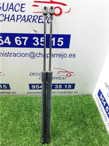 MICRA Amortiguador Porton MICRA Amortiguador Porton