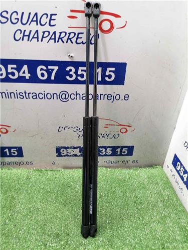 206 BERLINA Amortiguador Porton 206 BERLINA Amortiguador Porton