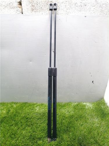 Corsa D 2006- Amortiguador Porton Corsa D 2006- Amortiguador Porton