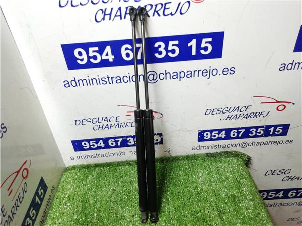 307 BERLINA Amortiguador Porton 307 BERLINA Amortiguador Porton