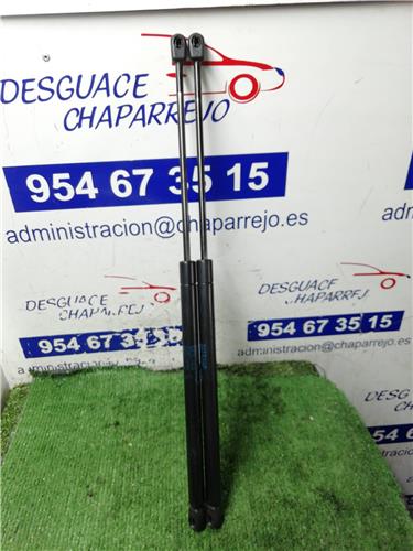 ALMERA Amortiguador Porton ALMERA Amortiguador Porton