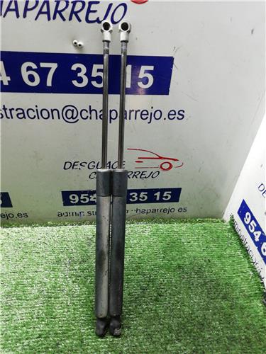 GOLF V BERLINA Amortiguador Porton GOLF V BERLINA Amortiguador Porton