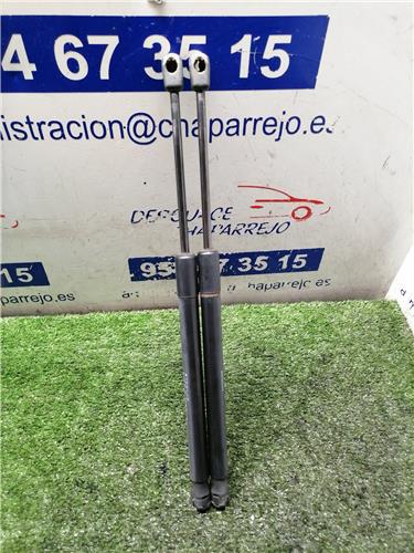 DUSTER Amortiguador Porton DUSTER Amortiguador Porton
