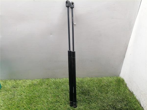 Focus Berlina CAK1998- Amortiguador Porton Focus Berlina CAK1998- Amortiguador Porton