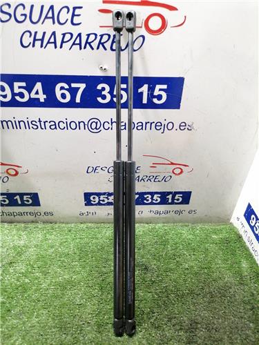 206 BERLINA Amortiguador Porton 206 BERLINA Amortiguador Porton