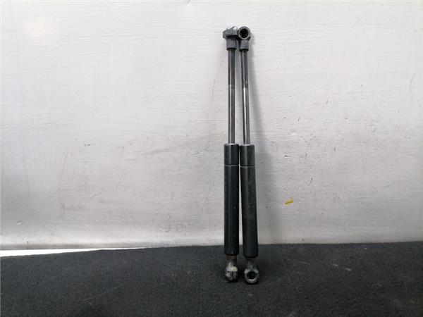 Focus Berlina CAK1998- Amortiguador Porton Focus Berlina CAK1998- Amortiguador Porton