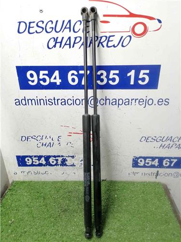 QASHQAI2 Amortiguador Porton QASHQAI2 Amortiguador Porton