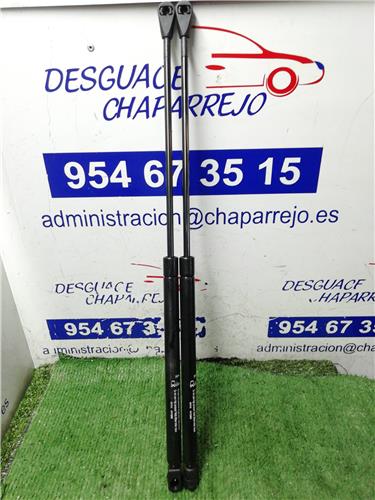 ALMERA Amortiguador Porton ALMERA Amortiguador Porton