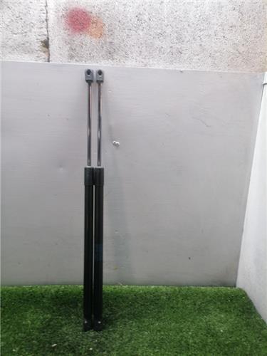 amortiguador porton renault scenic ii jm 2003