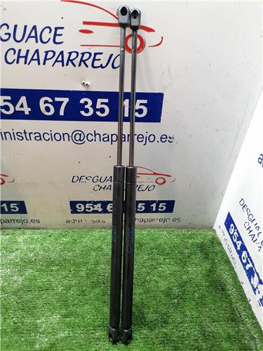 ALMERA Amortiguador Porton ALMERA Amortiguador Porton
