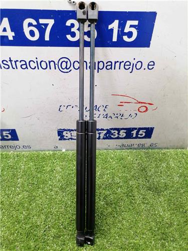 MEGANE II BERLINA 5P Amortiguador Porton MEGANE II BERLINA 5P Amortiguador Porton
