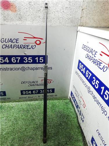 amortiguador capo volkswagen golf vi variant