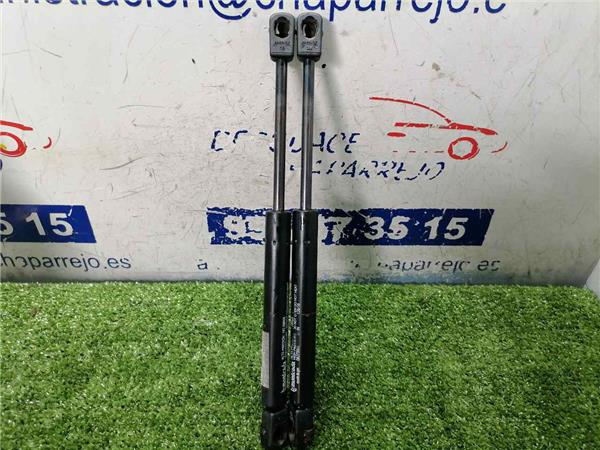 amortiguador porton volkswagen passat berlina 1.9 tdi (116 cv)