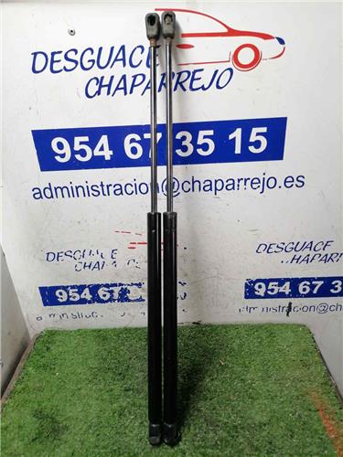 CARENS Amortiguador Porton CARENS Amortiguador Porton