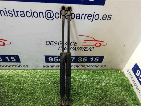 S40 BERLINA Amortiguador Porton S40 BERLINA Amortiguador Porton
