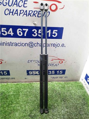 CALIBER Amortiguador Porton CALIBER Amortiguador Porton