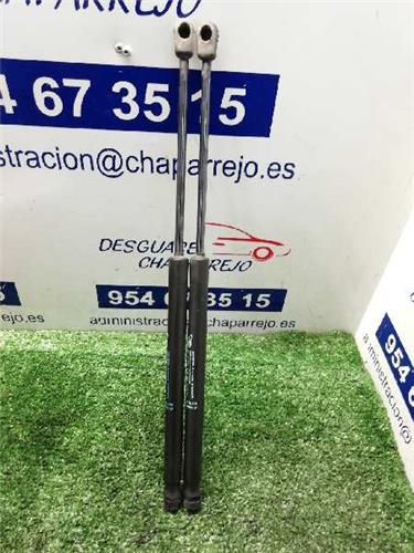 C3 Amortiguador Porton C3 Amortiguador Porton