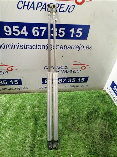 amortiguador porton volkswagen passat berlina 1.9 tdi (131 cv)