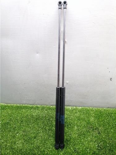 C4 Berlina 06.2004- Amortiguador Porton C4 Berlina 06.2004- Amortiguador Porton