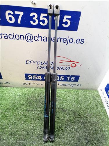 ASTRA H BER. Amortiguador Porton ASTRA H BER. Amortiguador Porton