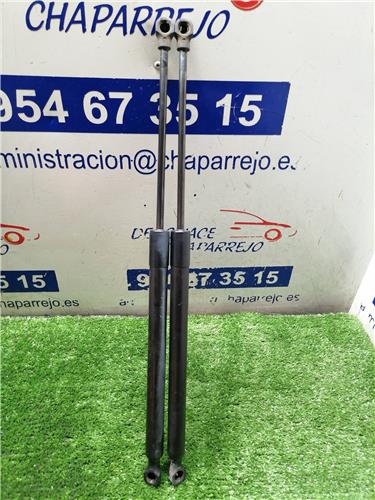 CLIO IV Amortiguador Porton CLIO IV Amortiguador Porton